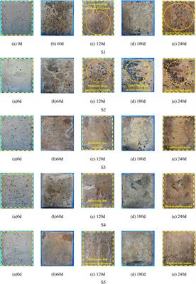 Study on the corrosion resistance of composite modified anti-corrosion mortar under the action of bio-organic water